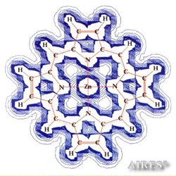 Рис. 4-2. Модель распределения ЭМ поля биологически активного комплекса